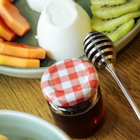 Portugal Alma - Oporto * Ermesinde